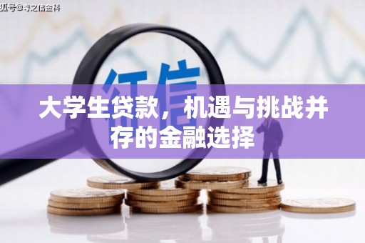 新邱大学生贷款，机遇与挑战并存的金融选择