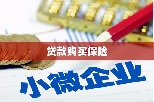 四湖贷款购买保险