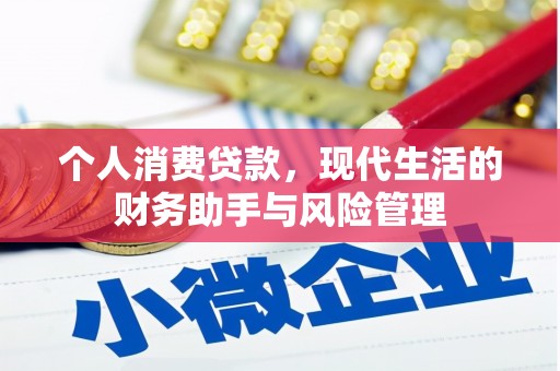 宜丰个人消费贷款，现代生活的财务助手与风险管理