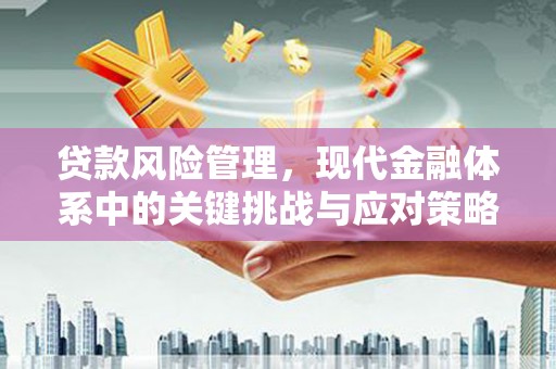 双柏贷款风险管理，现代金融体系中的关键挑战与应对策略