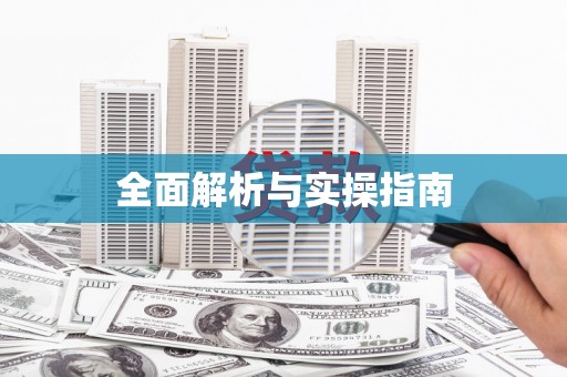 莱西全面解析与实操指南