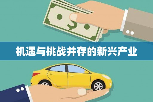 南州机遇与挑战并存的新兴产业