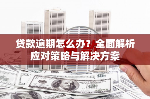 林西贷款逾期怎么办？全面解析应对策略与解决方案