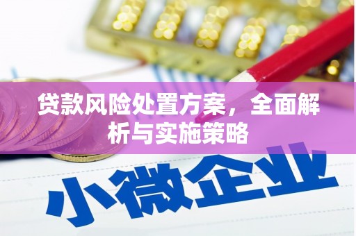 石龙贷款风险处置方案，全面解析与实施策略