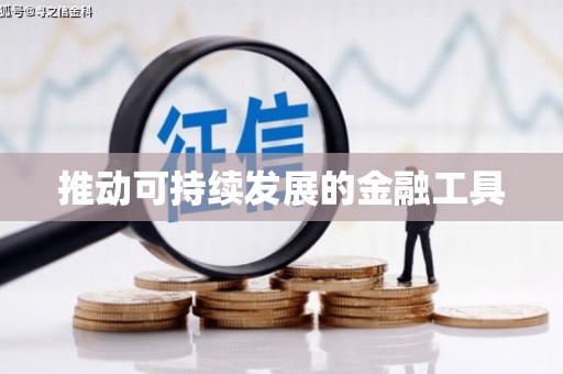 凤泉推动可持续发展的金融工具