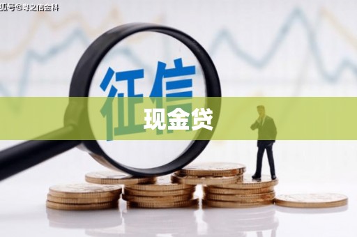 利辛现金贷
