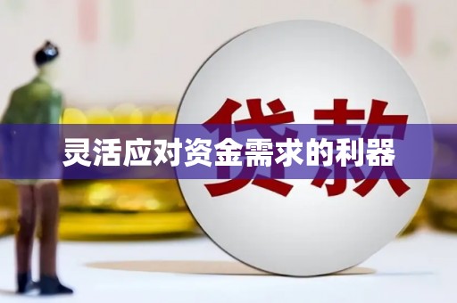 镇巴灵活应对资金需求的利器