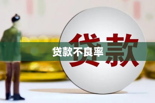 潮安贷款不良率